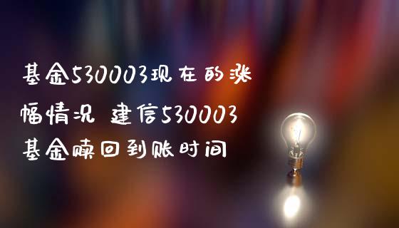 基金530003现在的涨幅情况 建信530003基金赎回到账时间