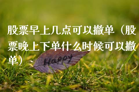 股票早上几点可以撤单（股票晚上下单什么时候可以撤单）