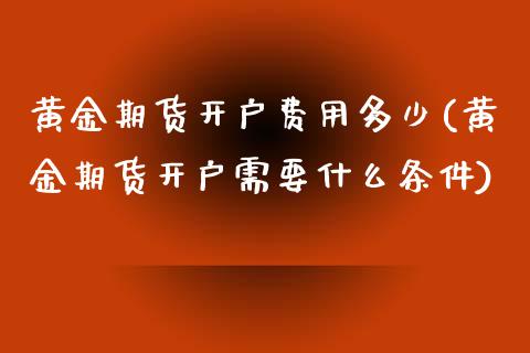 黄金期货开户费用多少(黄金期货开户需要什么条件)