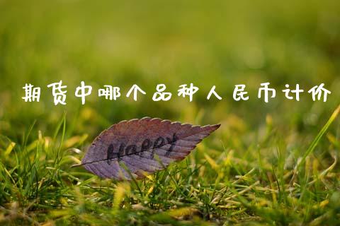 期货中哪个品种币计价