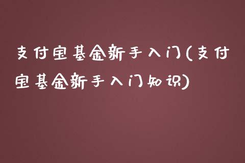 支付宝基金新手入门(支付宝基金新手入门知识)