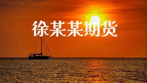 徐某某期货