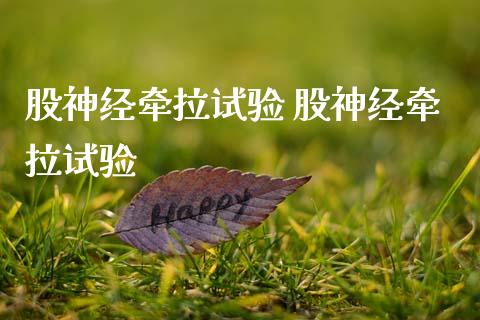 股神经牵拉试验 股神经牵拉试验