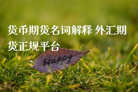 货币期货名词解释 外汇期货正规平台