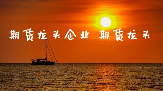 期货龙头企业 期货龙头