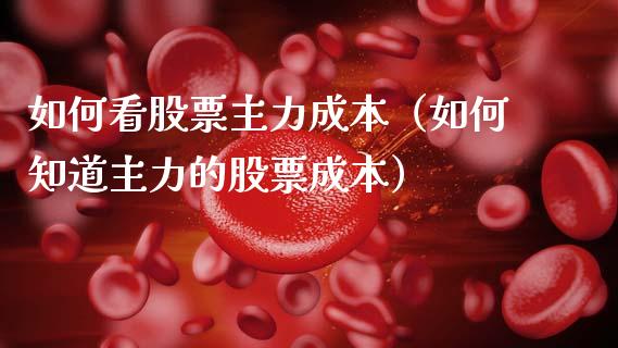 如何看股票主力成本（如何知道主力的股票成本）