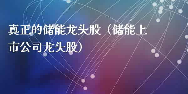 真正的储能龙头股（储能上市公司龙头股）