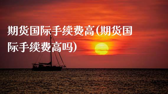 期货国际手续费高(期货国际手续费高吗)