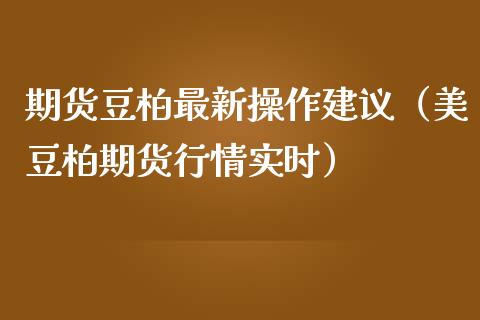 期货豆柏最新操作建议（美豆柏期货行情实时）