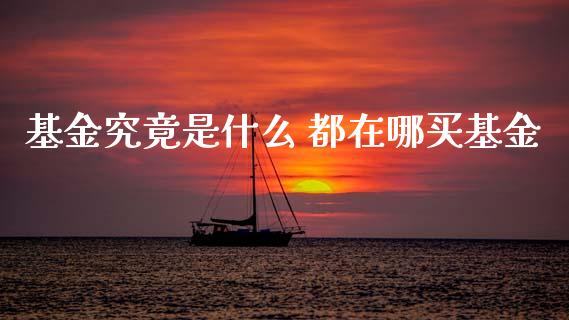 基金究竟是什么 都在哪买基金_https://www.dglong8.com_基金理财_第1张