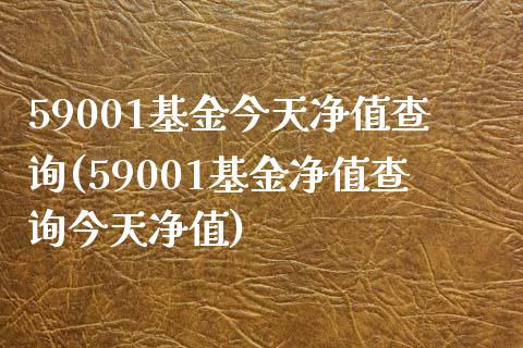 59001基金今天净值查询(59001基金净值查询今天净值)