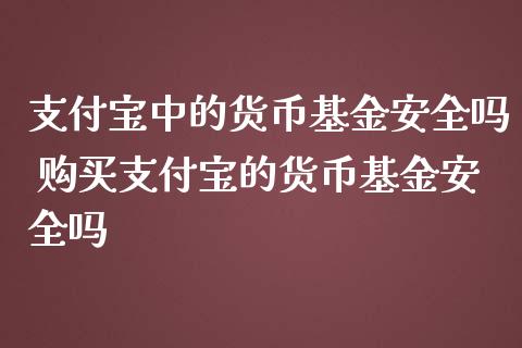 支付宝中的货币基金安全吗 购买支付宝的货币基金安全吗