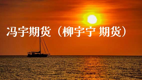 冯宇期货（柳宇宁 期货）