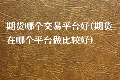 期货哪个交易平台好(期货在哪个平台做比较好)