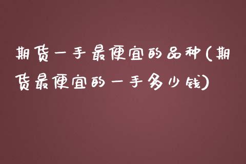 期货一手最便宜的品种(期货最便宜的一手多少钱)