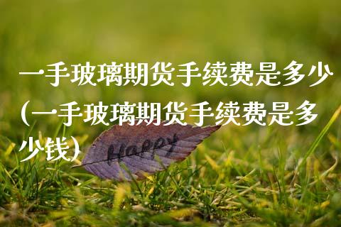一手玻璃期货手续费是多少(一手玻璃期货手续费是多少钱)
