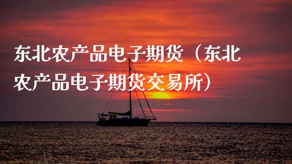 东北农产品电子期货（东北农产品电子期货交易所）