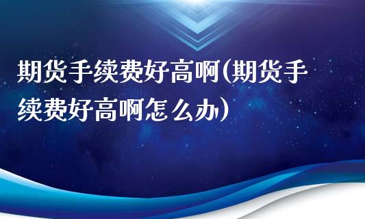 期货手续费好高啊(期货手续费好高啊怎么办)
