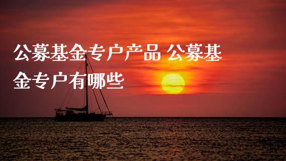 公募基金专户产品 公募基金专户有哪些_https://www.dglong8.com_基金理财_第1张
