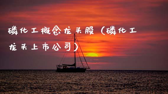 化工概念龙头股（化工龙头上市公司）