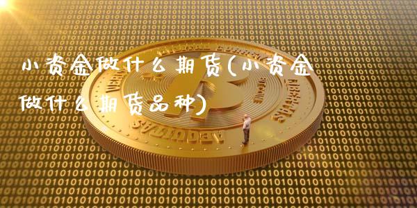 小资金做什么期货(小资金做什么期货品种)