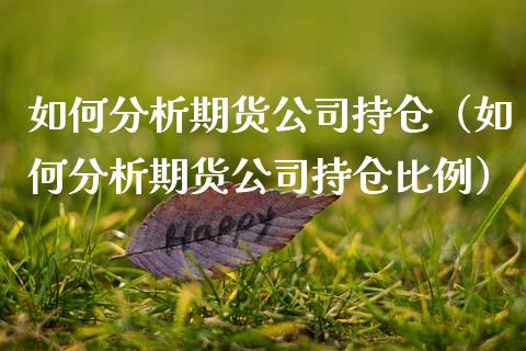 如何分析期货公司持仓（如何分析期货公司持仓比例）