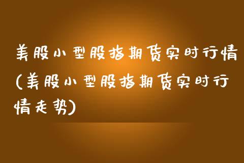 美股小型股指期货实时行情(美股小型股指期货实时行情走势)