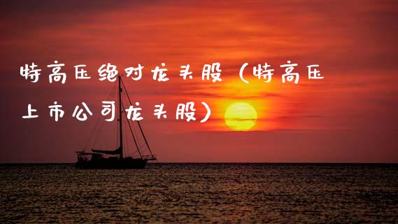特高压绝对龙头股（特高压上市公司龙头股）_https://www.dglong8.com_财经要闻_第1张