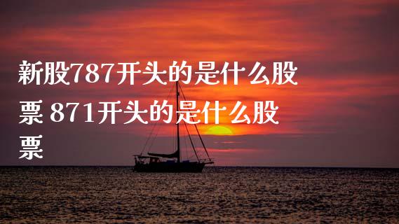 新股787开头的是什么股票 871开头的是什么股票