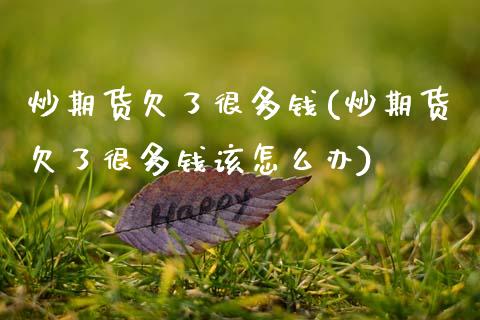 炒期货欠了很多钱(炒期货欠了很多钱该怎么办)