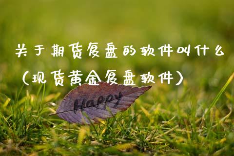 关于期货复盘的软件叫什么（现货黄金复盘软件）