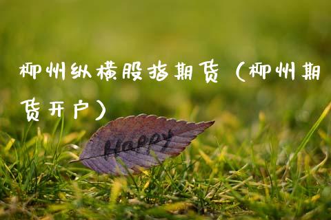 柳州纵横股指期货（柳州期货开户）