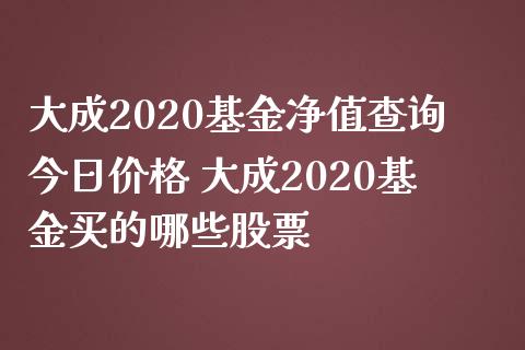 大成2020基金净值查询今日价格 大成2020基金买的哪些股票