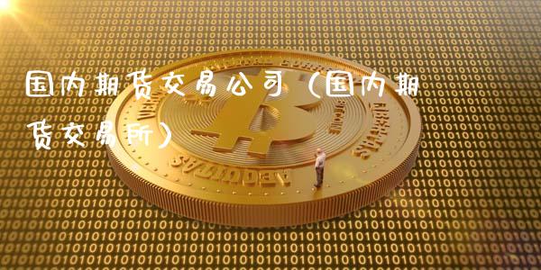 国内期货交易公司（国内期货交易所）
