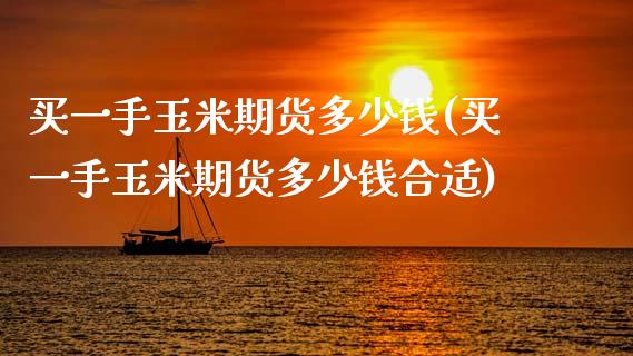 买一手玉米期货多少钱(买一手玉米期货多少钱合适)