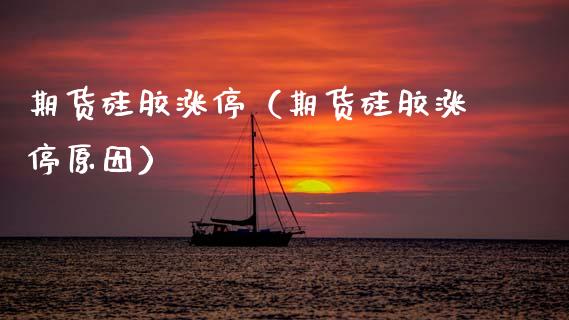 期货硅胶涨停（期货硅胶涨停原因）