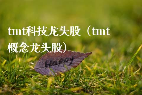 tmt科技龙头股(tmt概念龙头股)_财经要闻_第1张_宇龙理财网 tmt科技龙头股(tmt概念龙头股)_https://www.dglong8.com_财经要闻_第1张