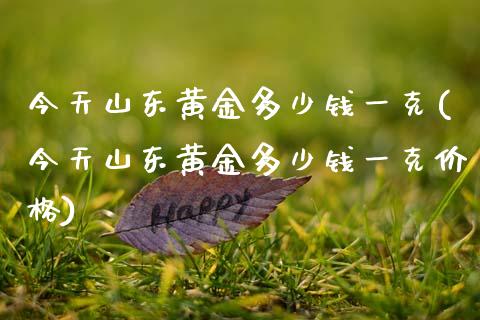 今天山东黄金多少钱一克(今天山东黄金多少钱一克价格)