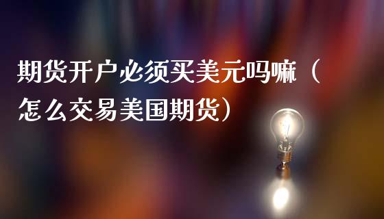 期货开户必须买美元吗嘛（怎么交易美国期货）