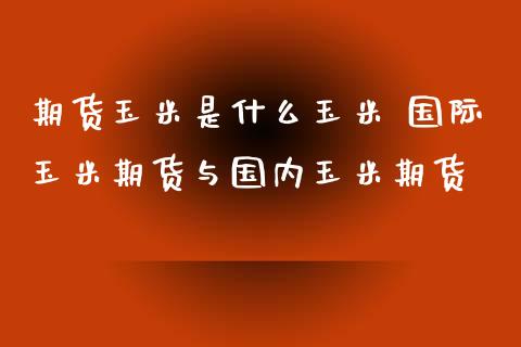 期货玉米是什么玉米 国际玉米期货与国内玉米期货