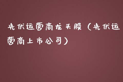 光伏运营商龙头股（光伏运营商上市公司）