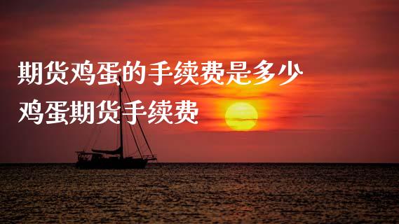 期货鸡蛋的手续费是多少 鸡蛋期货手续费