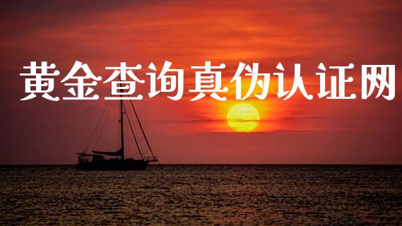 黄金查询真伪认证网_期货理财_第1张_宇龙理财网 黄金查询真伪认证网_https://www.dglong8.com_期货理财_第1张