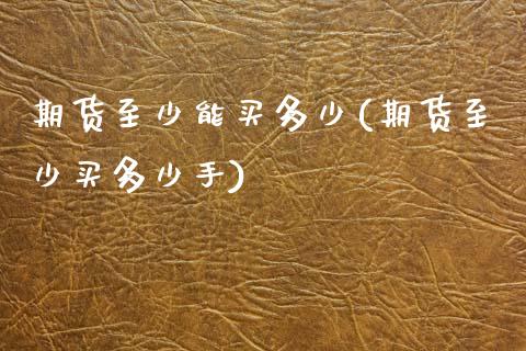 期货至少能买多少(期货至少买多少手)