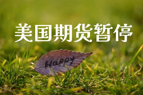 美国期货暂停