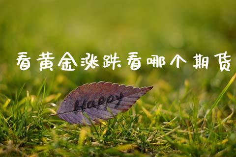 看黄金涨跌看哪个期货