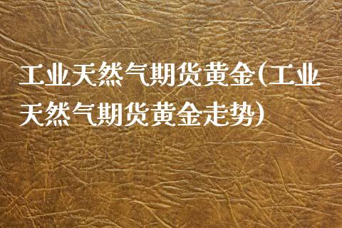 工业天然气期货黄金(工业天然气期货黄金走势)