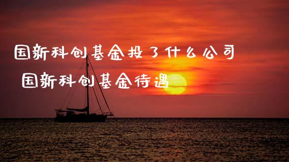 国新科创基了什么公司 国新科创基金待遇_https://www.dglong8.com_基金理财_第1张
