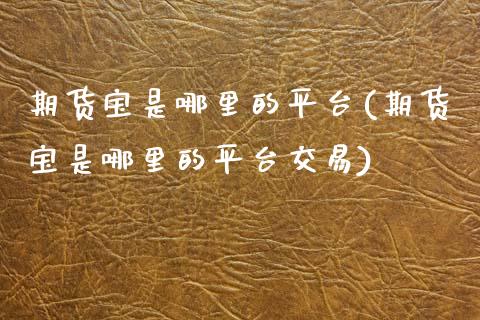 期货宝是哪里的平台(期货宝是哪里的平台交易)