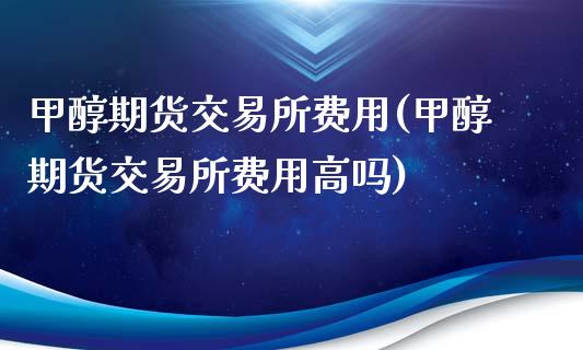 甲醇期货交易所费用(甲醇期货交易所费用高吗)